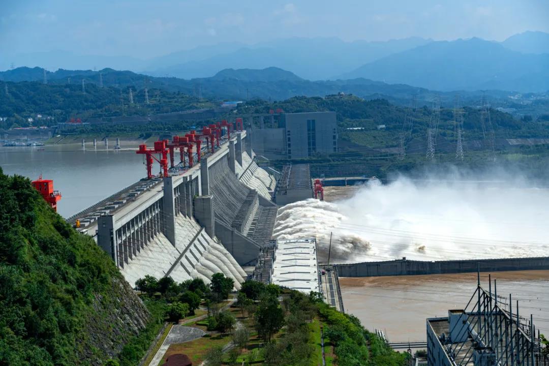 1637112316187522.jpeg 1637112316187522.jpeg