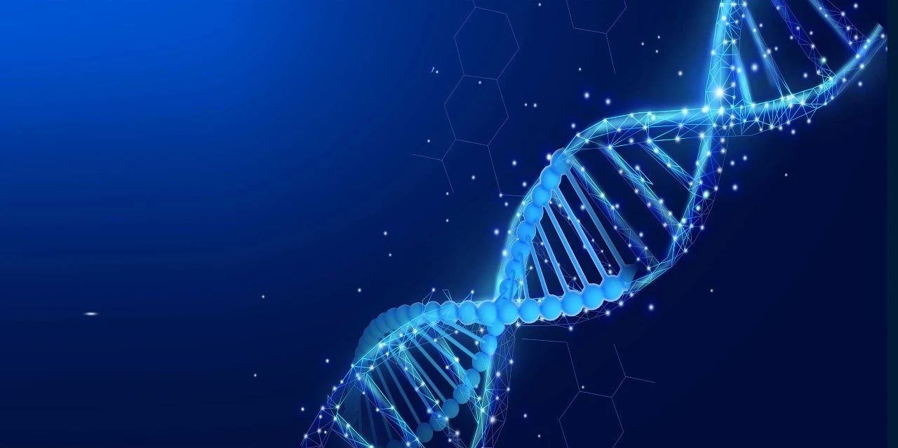 1682000861276693.jpeg 1.jpg