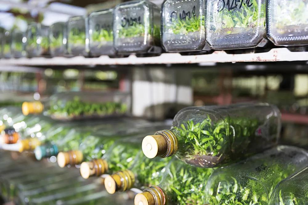 1624324796633977.jpeg 1.jpg