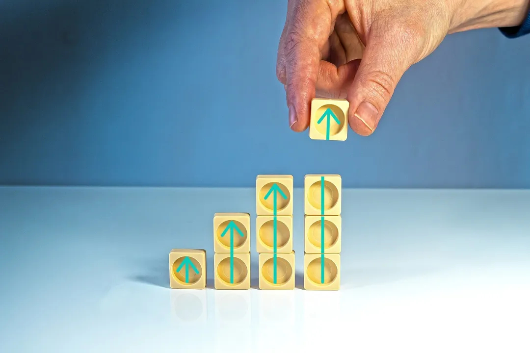 1735643024188044.jpeg 640-1(5).jpeg